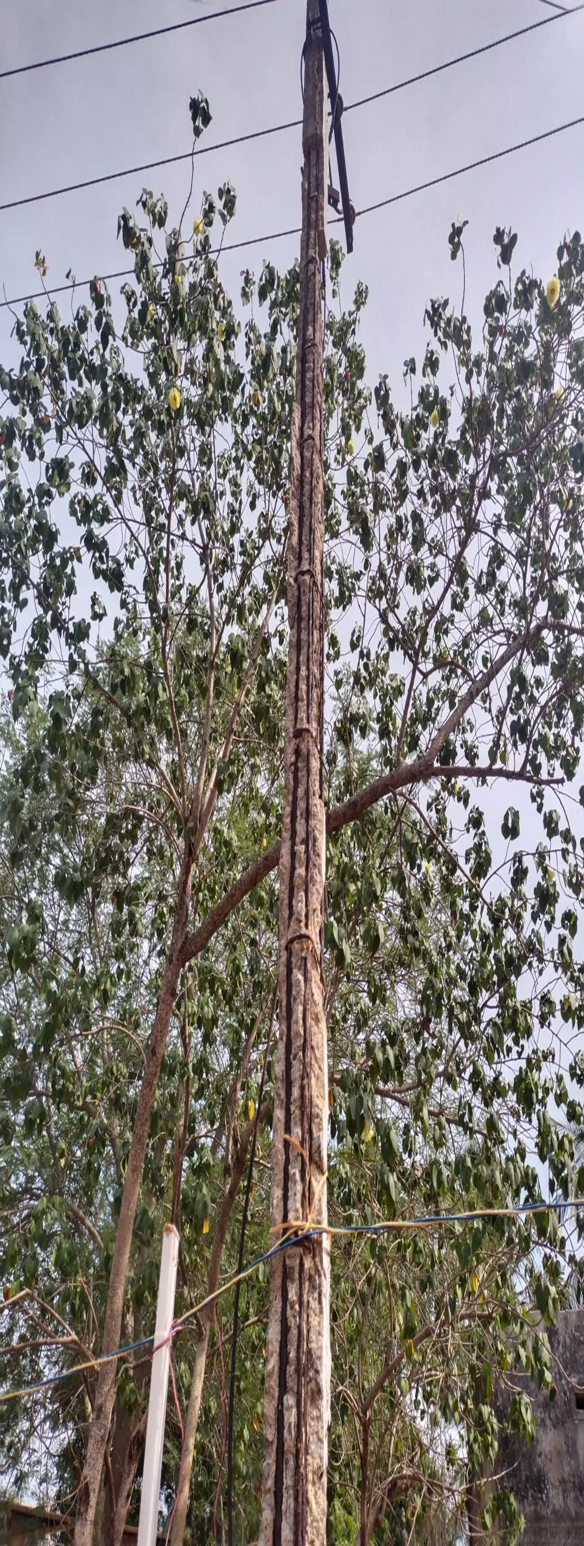 ஆபத்தான நிலையில் மின்கம்பம்