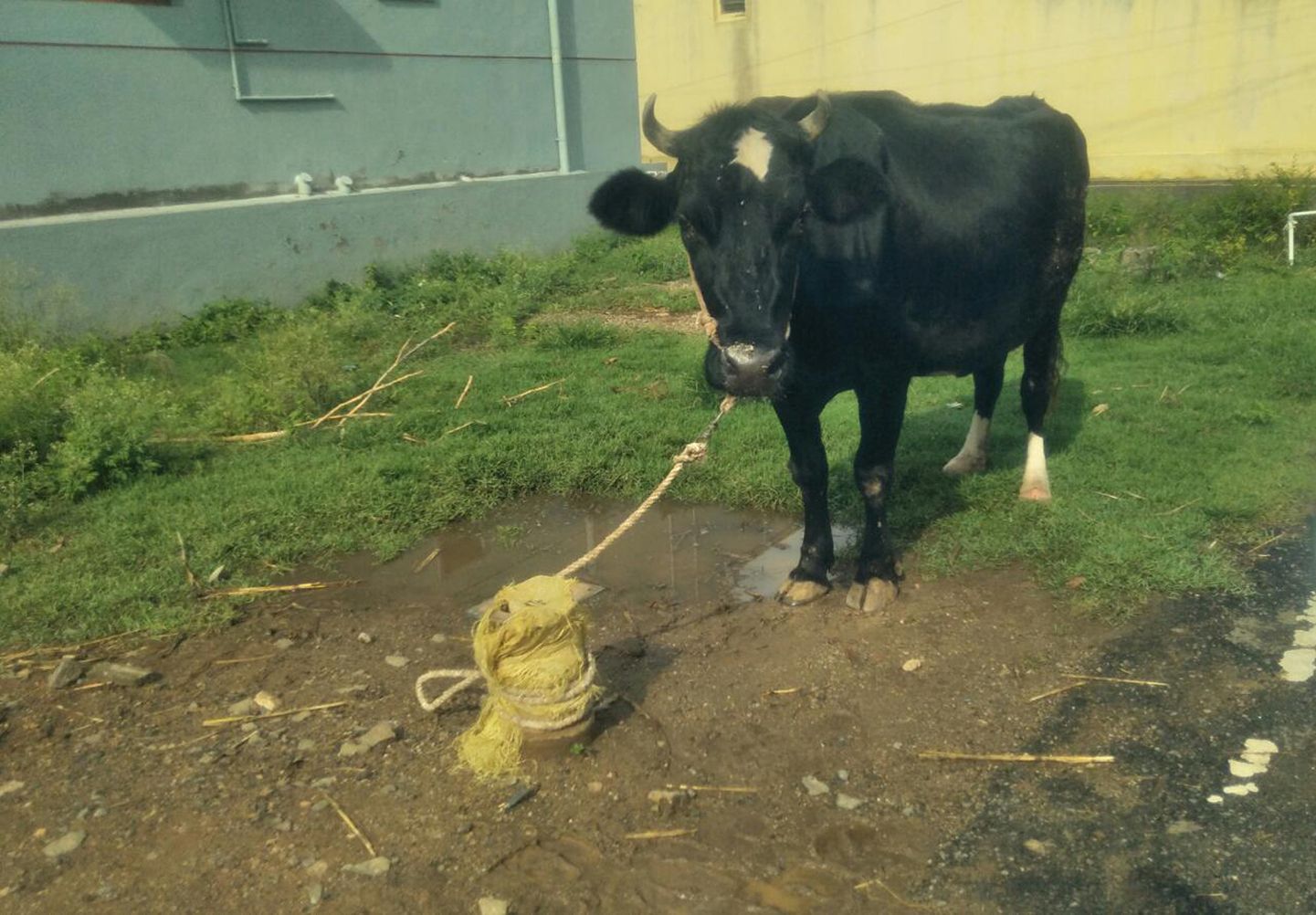 ஆழ்துளை கிணறை மூட வேண்டும்