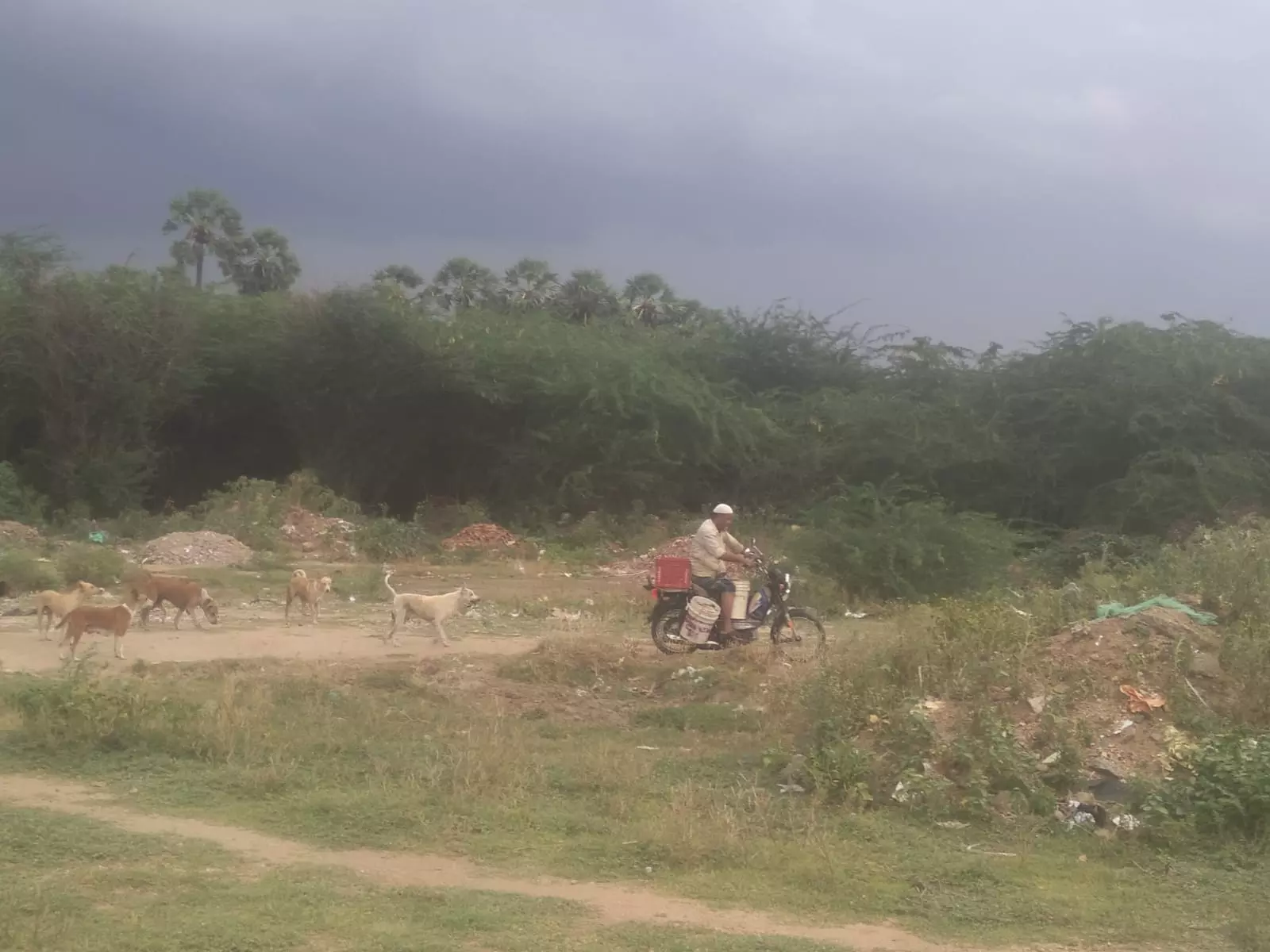 கழிவுகளால் சுகாதார சீர்கேடு கழிவுகளால் சுகாதார சீர்கேடு