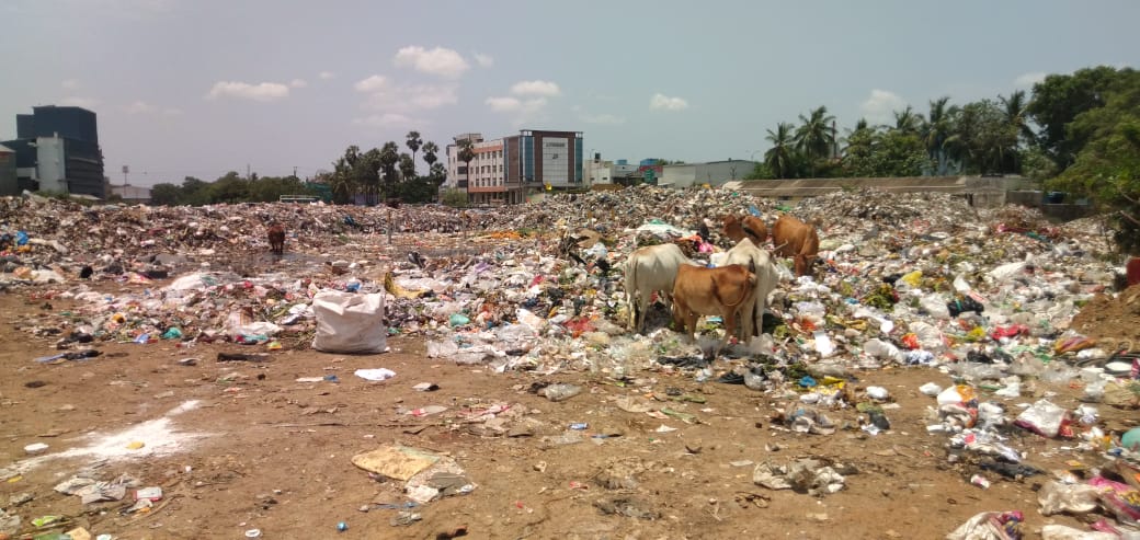 ஏரியில் கொட்டப்படும் குப்பைகள்