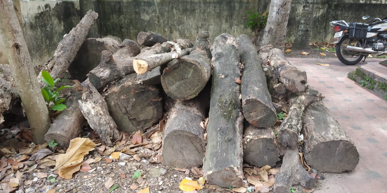 சேதமடையும் மரத்தடிகள்