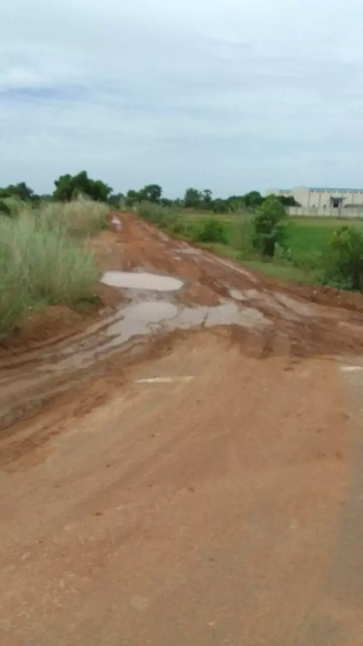 சாலை சீரமைக்கப்படுமா?