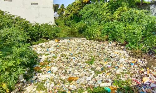 கால்வாயை சுத்தம் செய்ய வேண்டும்