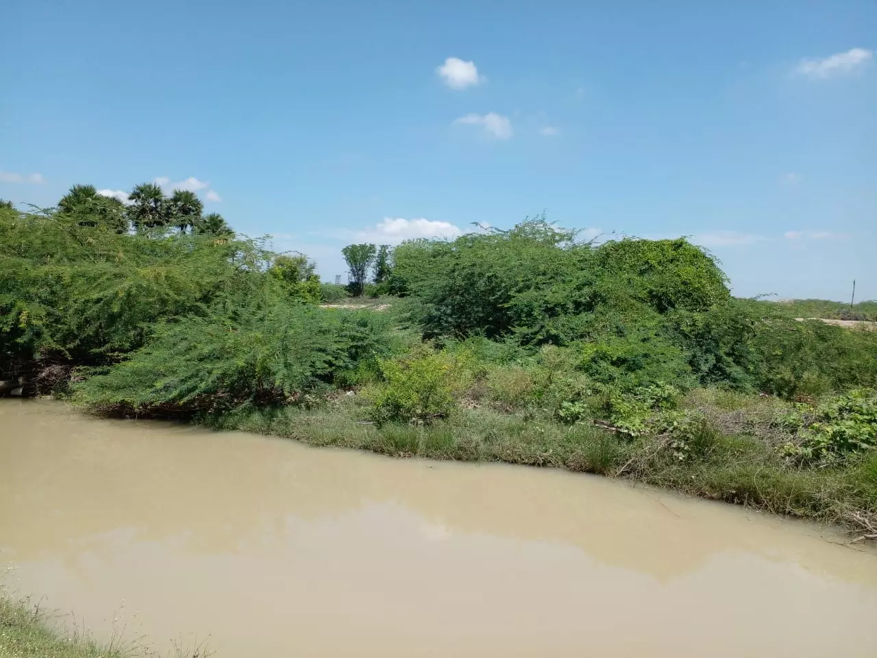 தூர்வாரப்படாத கல்லாறு