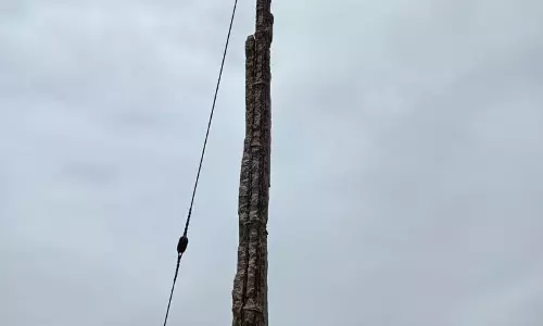 எலும்பு கூடான மின்கம்பம்