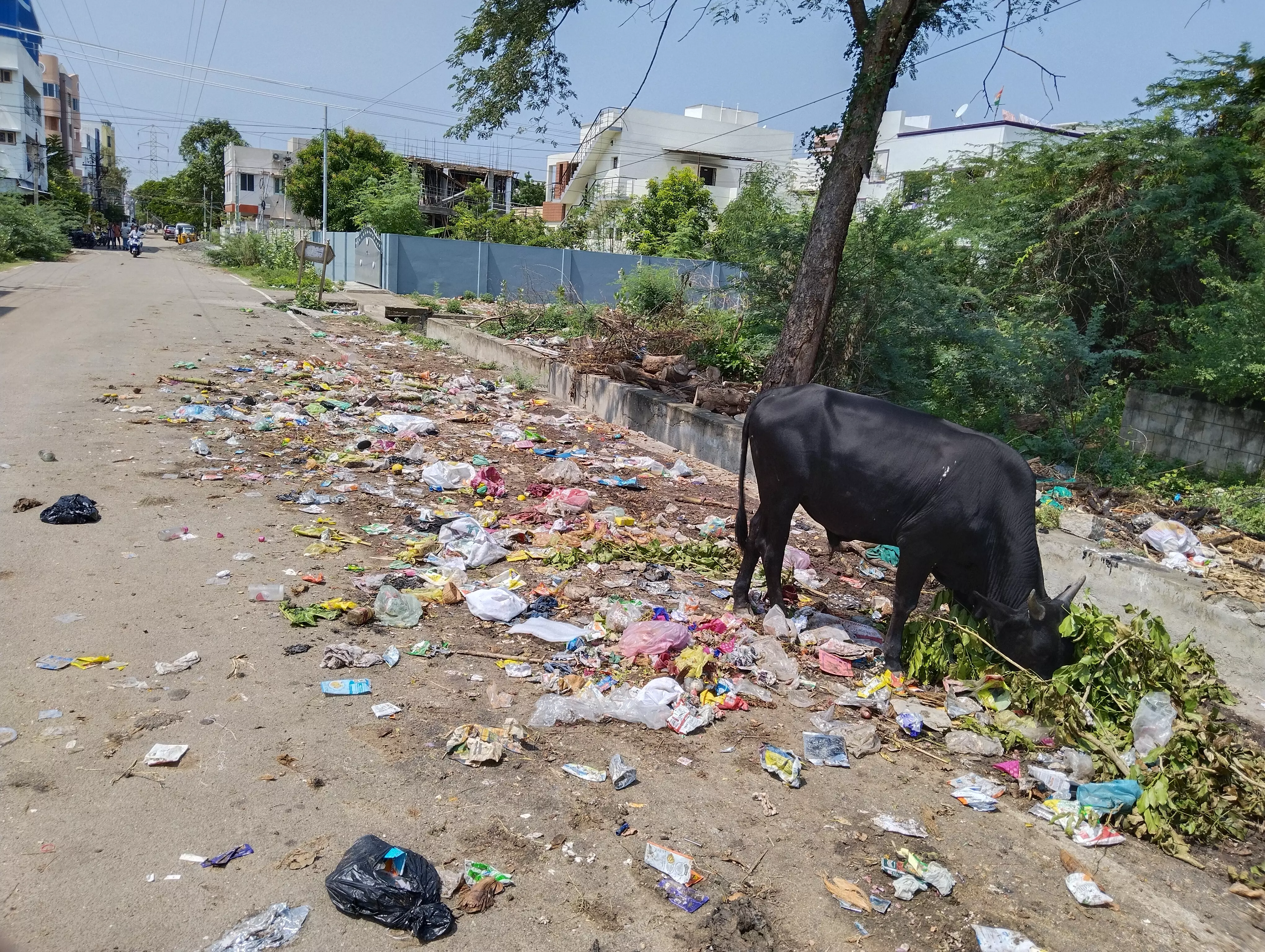 சாலையில் சிதறி கிடக்கும் குப்பைகள்