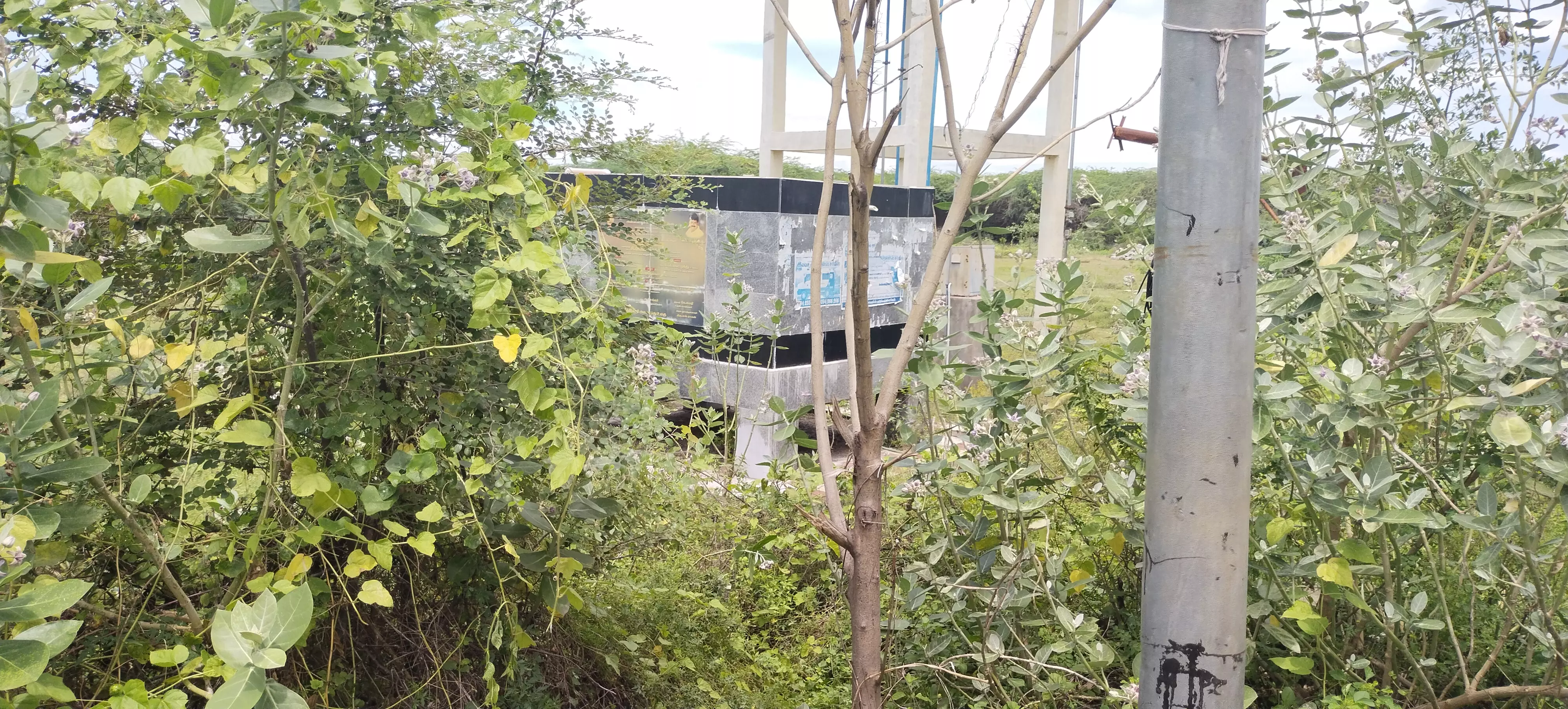 புதருக்குள் மறைந்திருக்கும் குடிநீர் தொட்டி புதருக்குள் மறைந்திருக்கும் குடிநீர் தொட்டி