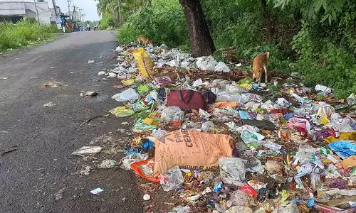 சுகாதாரக்கேடு சுகாதாரக்கேடு