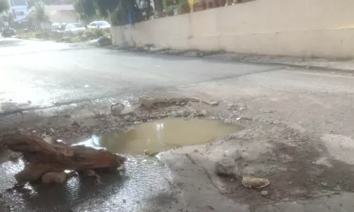 சாலை பள்ளத்தால் வாகன ஓட்டிகள் அவதி சாலை பள்ளத்தால் வாகன ஓட்டிகள் அவதி