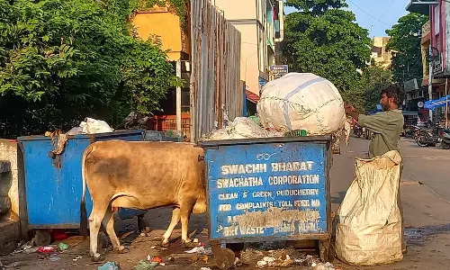 குப்பைகள் தேக்கம்