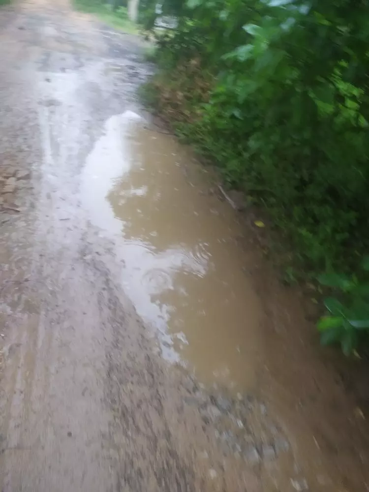 சாலை வேண்டி கோரிக்கை