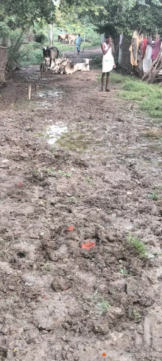 சேறும் சகதியுமான சாலை சேறும் சகதியுமான சாலை