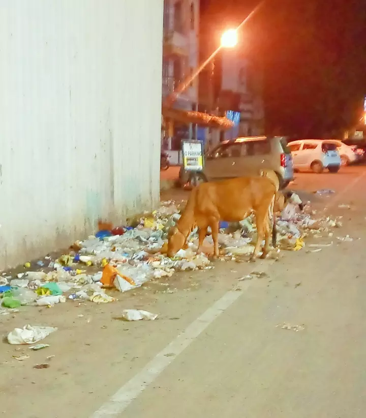 குப்பைமேடான தேரோடும் வீதி குப்பைமேடான தேரோடும் வீதி