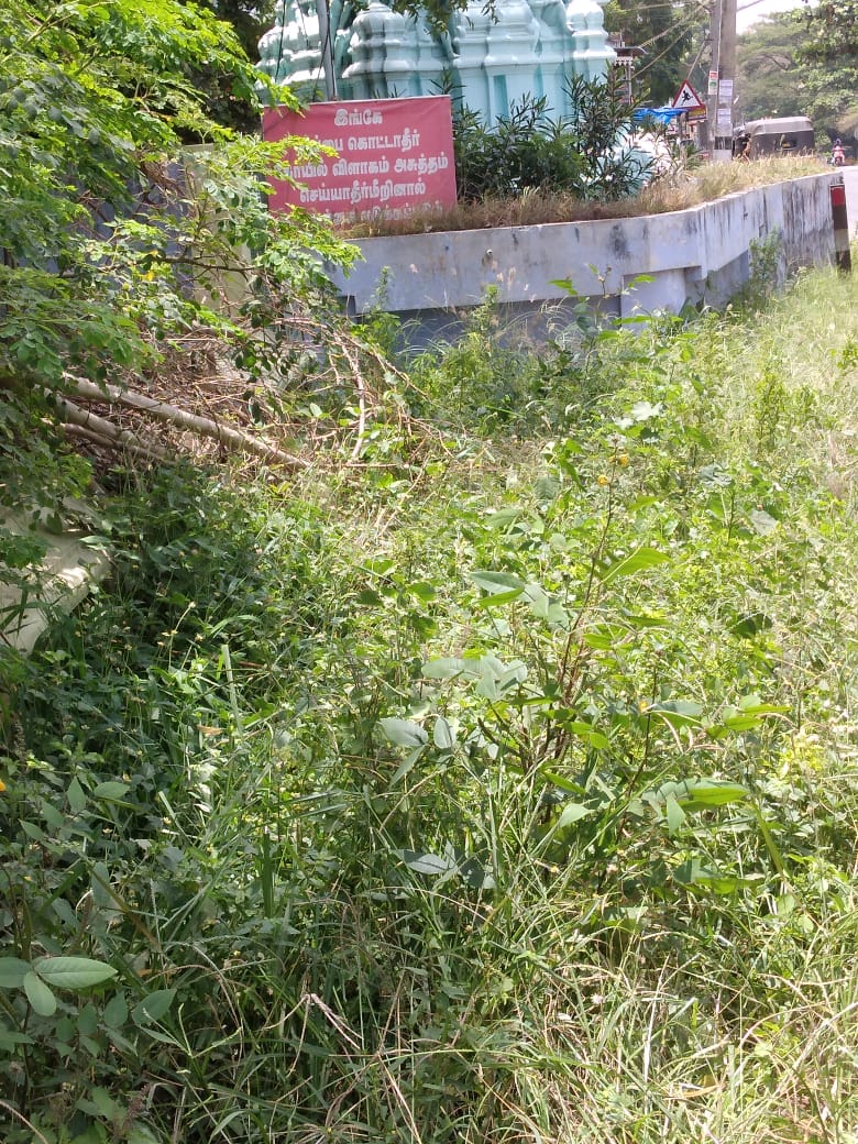 புதர்கள் அகற்றப்பட்டது