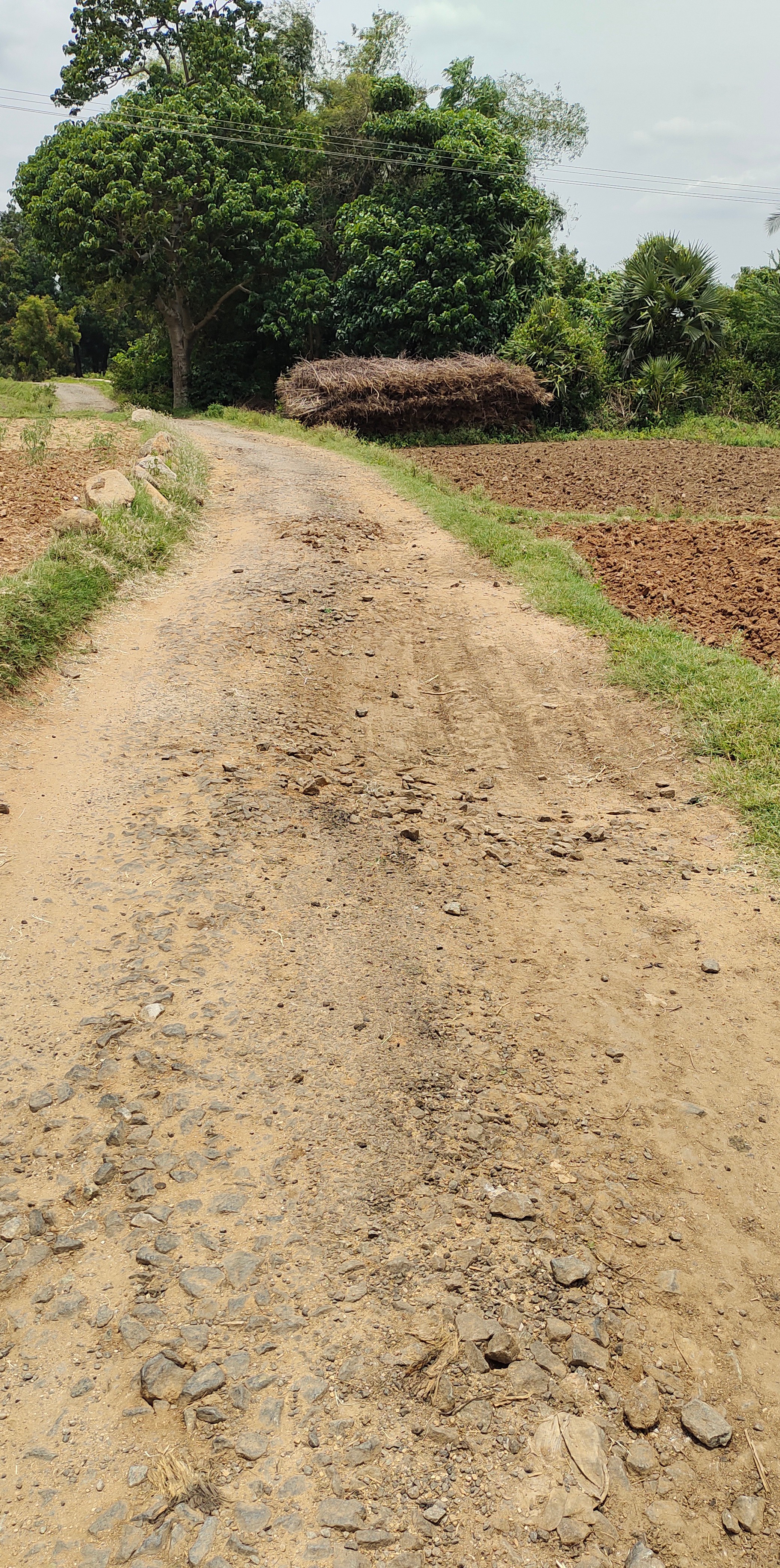 சாலையை சீரமைக்க வேண்டும்