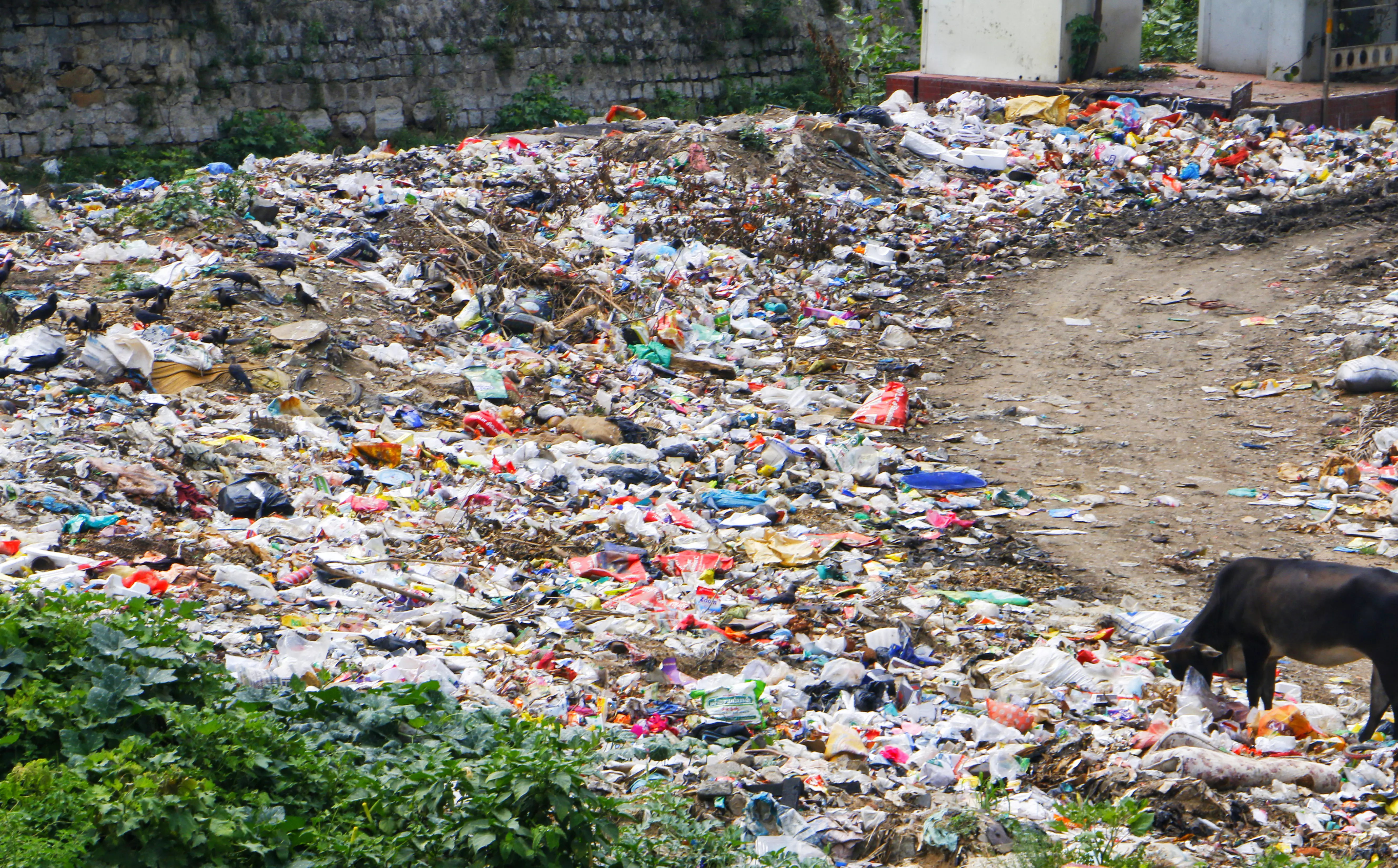 குப்பை கொட்டுவதை தடுக்க வேண்டும்