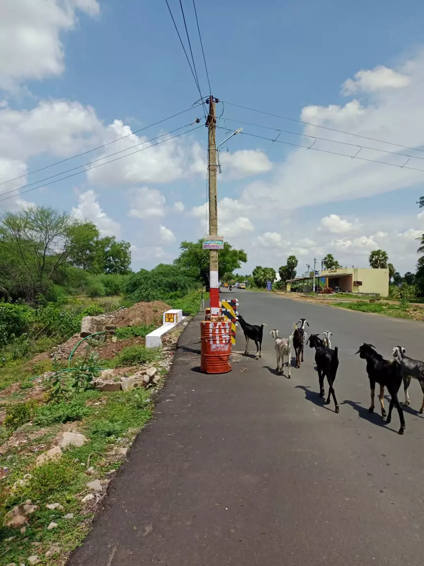 சாலையில் அமைக்கப்பட்டுள்ள மின்கம்பம்