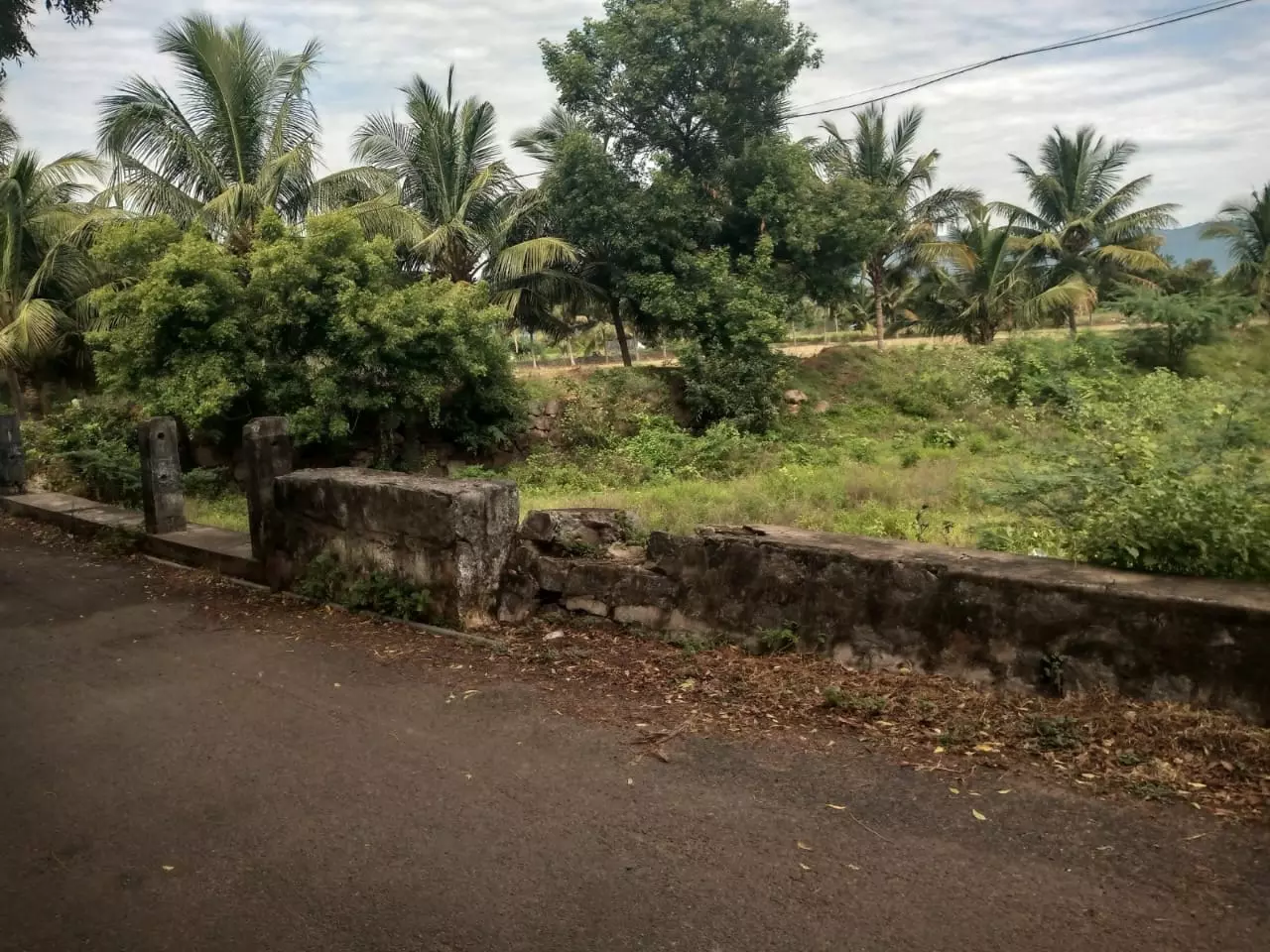 பாலம் சேதமடையும் அபாயம்