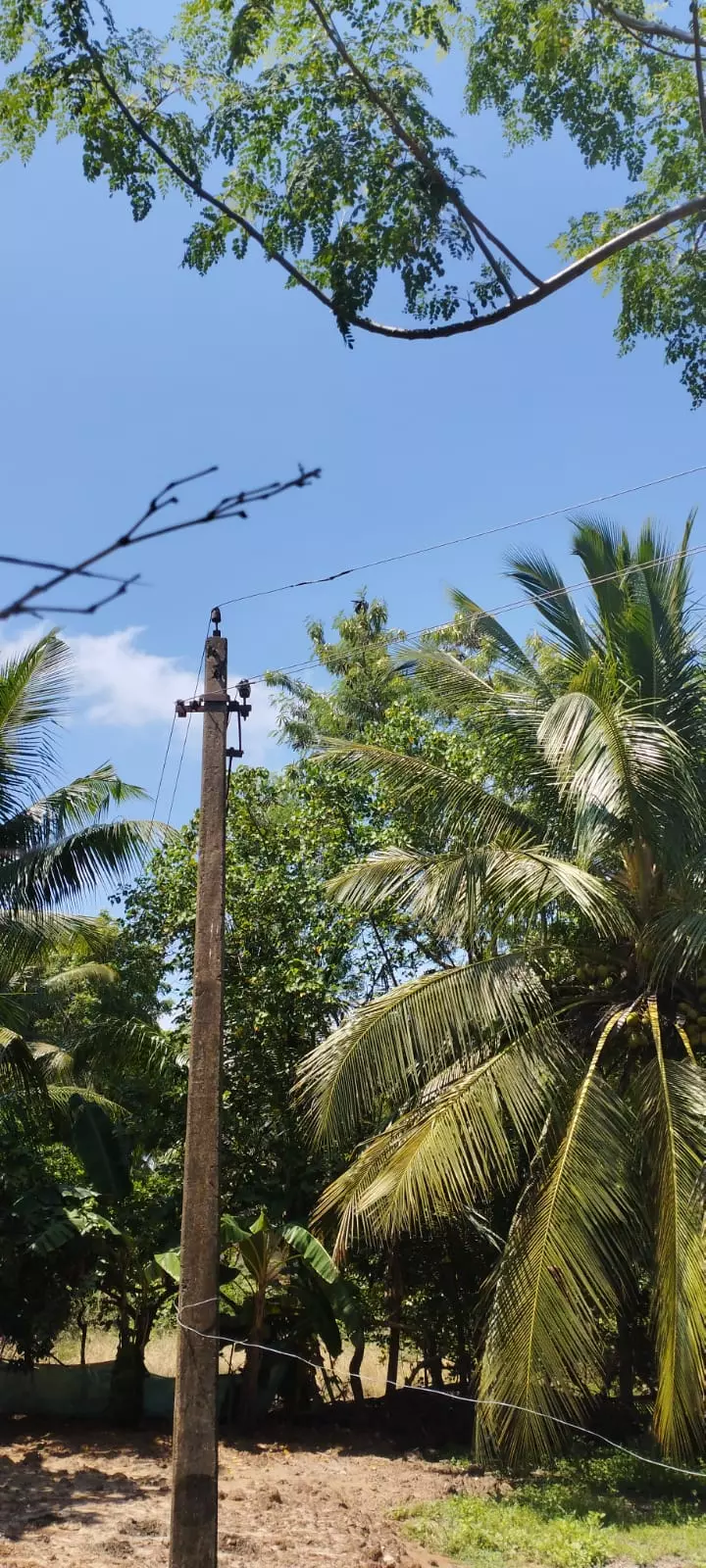 ஆபத்தான நிலையில் மின்கம்பம்