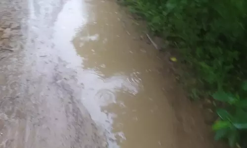 சாலை வேண்டி கோரிக்கை