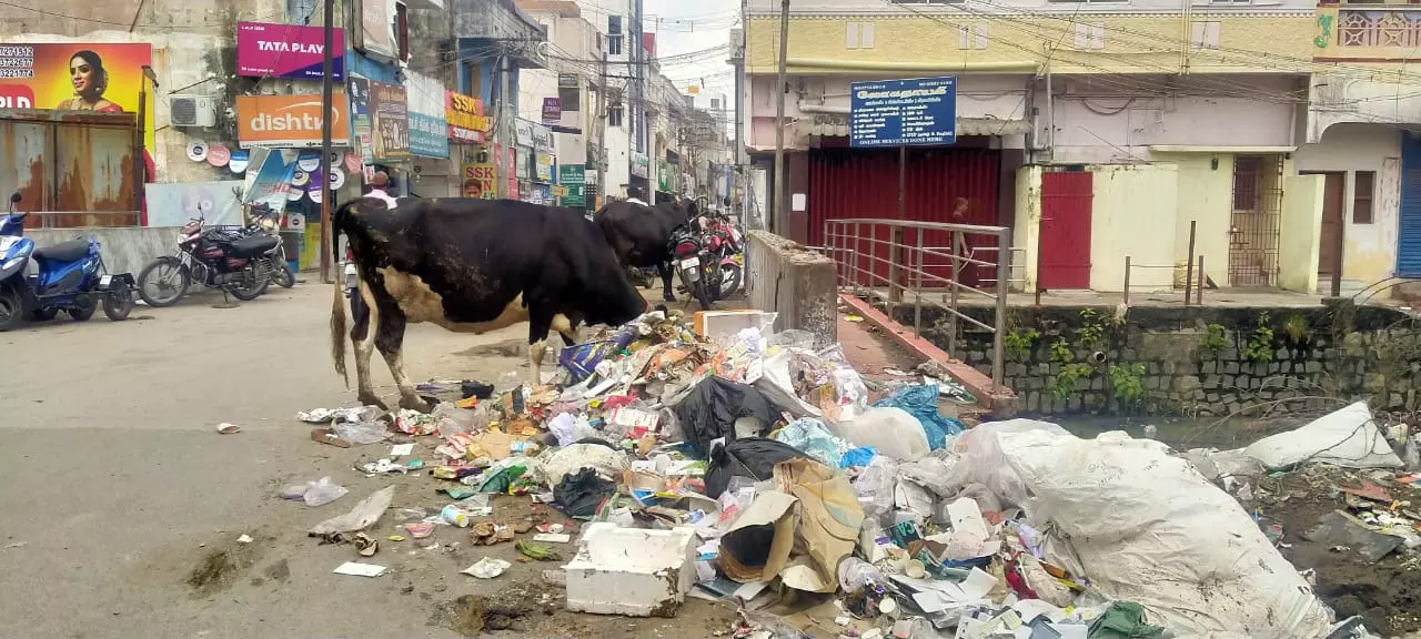 சாலையில் கொட்டப்படும் குப்பைகள் சாலையில் கொட்டப்படும் குப்பைகள்