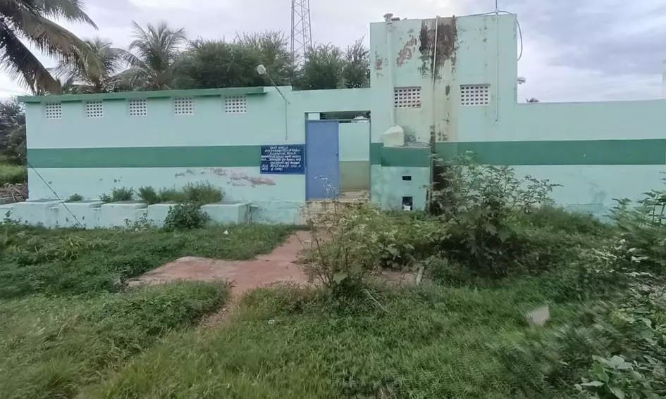 புதர் மண்டிய கழிப்பறை