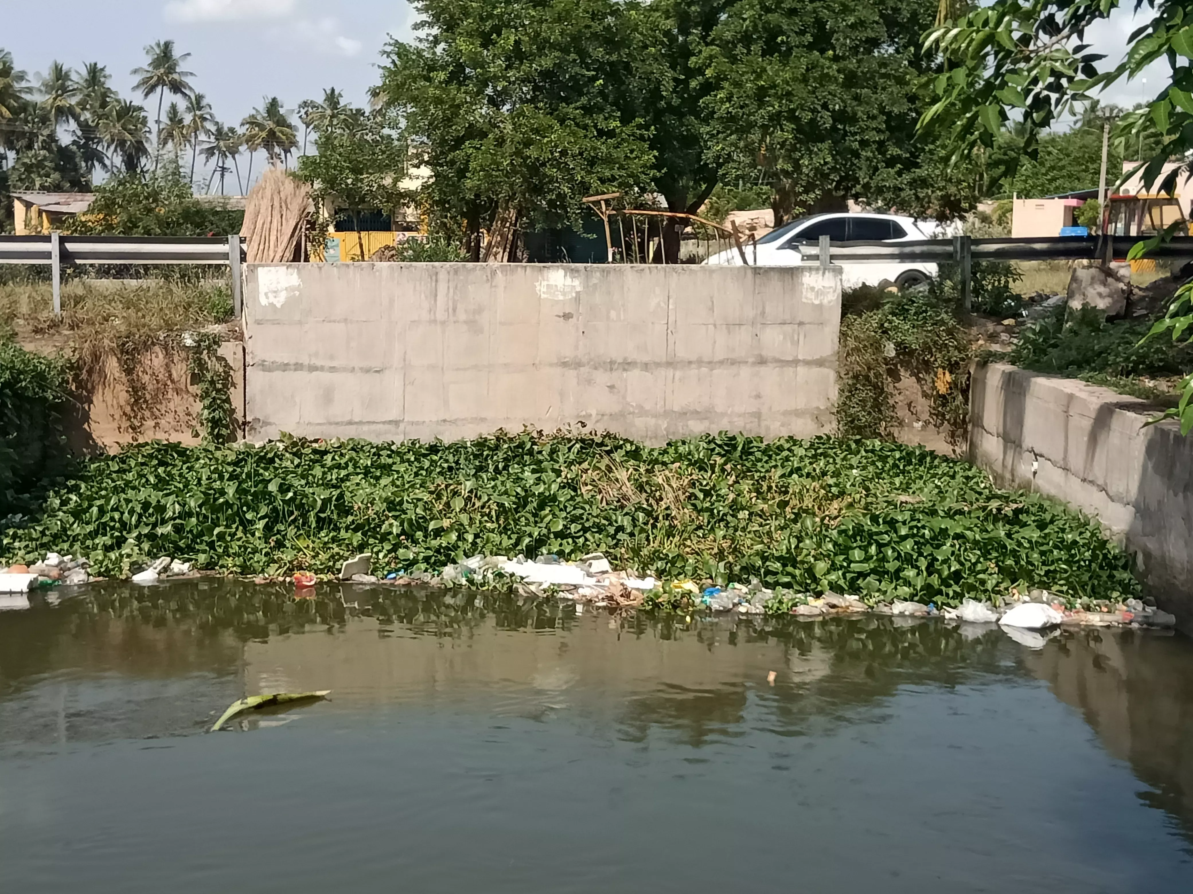 ஆகாய தாமரைகளை அகற்ற கோரிக்கை ஆகாய தாமரைகளை அகற்ற கோரிக்கை