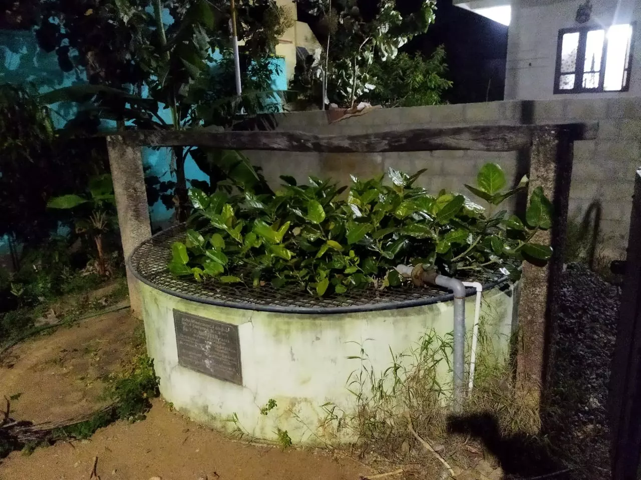 நடவடிக்கை எடுக்க வேண்டும் நடவடிக்கை எடுக்க வேண்டும்