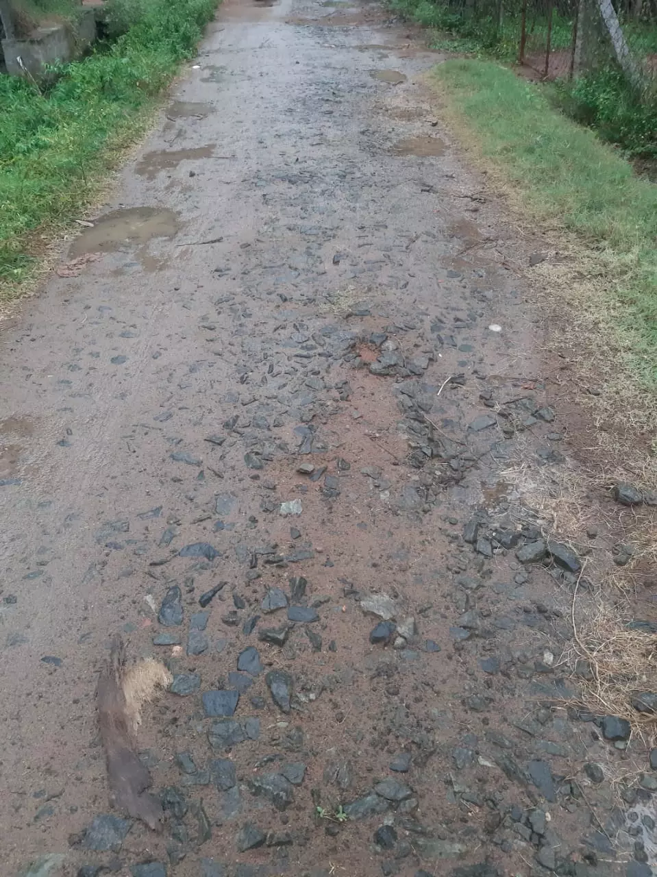 சேதமடைந்த சாலை