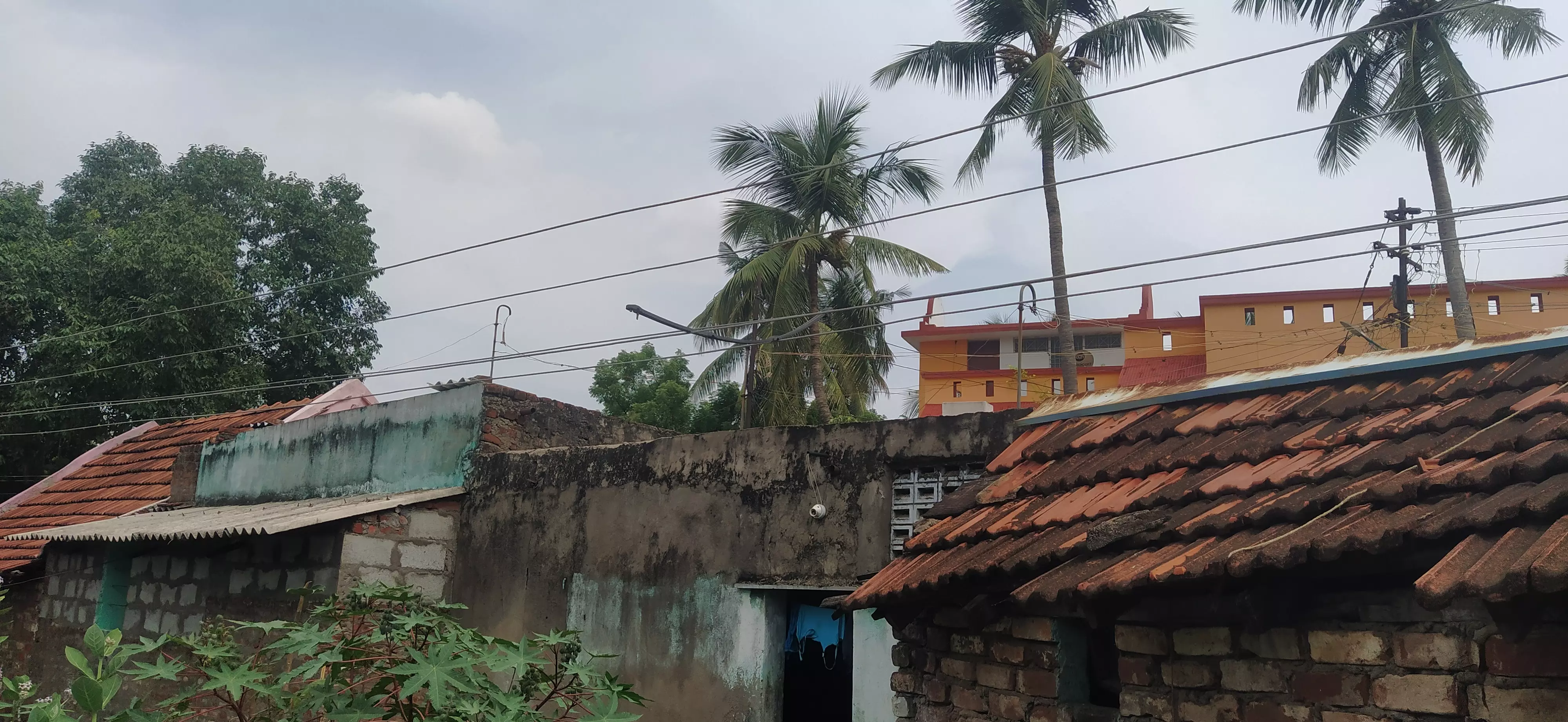 தாழ்வாக செல்லும் மின்சார கம்பிகள்