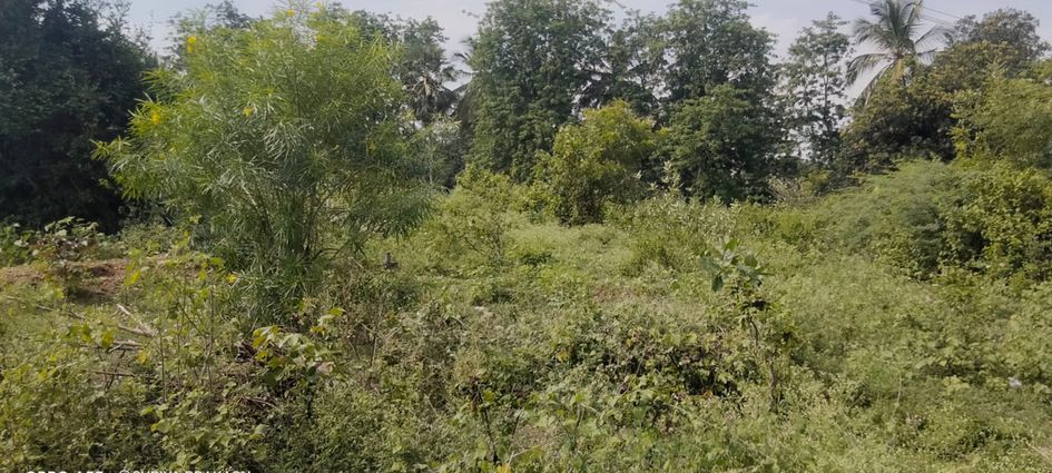 மயானம் சீரமைக்கப்படுமா?