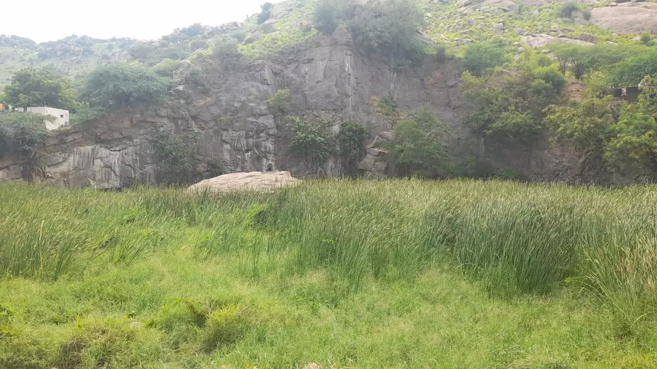 குட்டையை சுற்றிலும் பாதுகாப்பு வேலி அமைப்பார்களா? குட்டையை சுற்றிலும் பாதுகாப்பு வேலி அமைப்பார்களா?