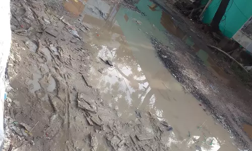 சாலை வசதி செய்யப்படுமா?