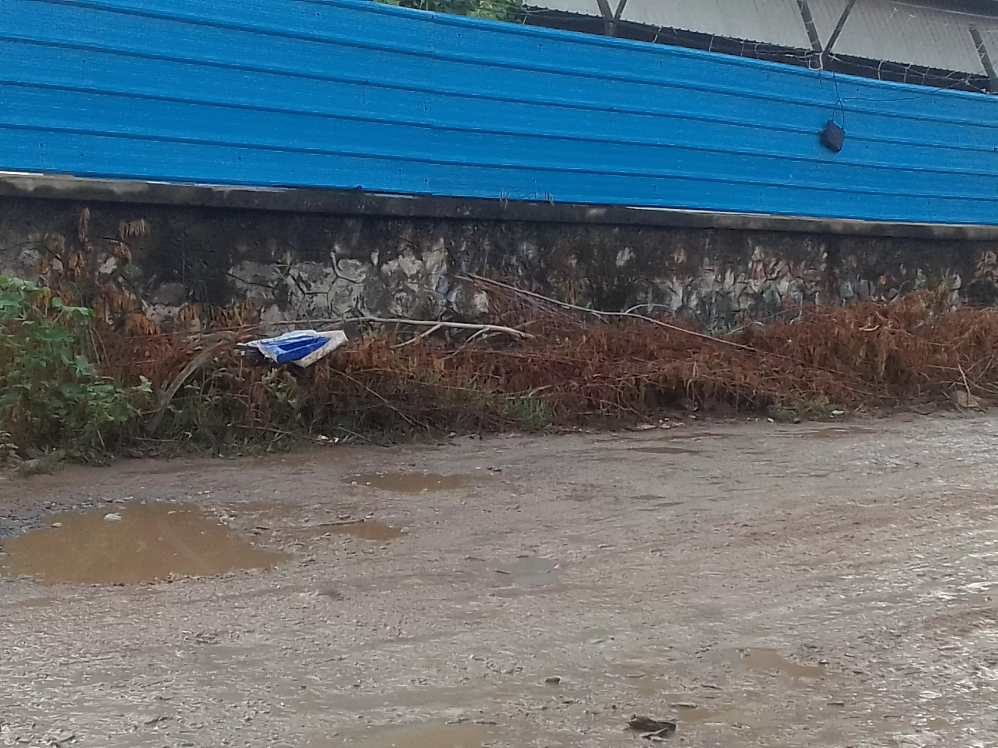 குப்பைகளை அகற்றப்படுமா? குப்பைகளை அகற்றப்படுமா?