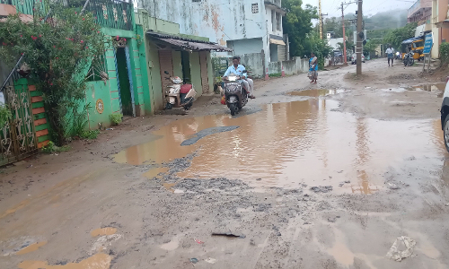 சாலை பணியை விரைந்து முடிக்க வேண்டும்