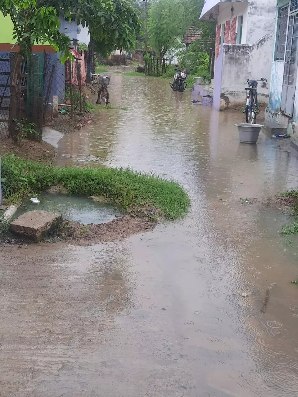 மழைநீருடன் வரும் விஷ பூச்சிகள்