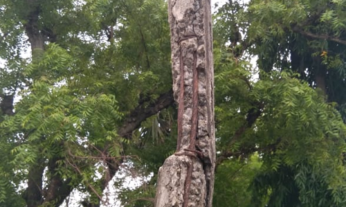 புதிய மின்கம்பம் வேண்டும்