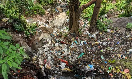 மலைப்பாதையில் பிளாஸ்டிக் குப்பைகள்