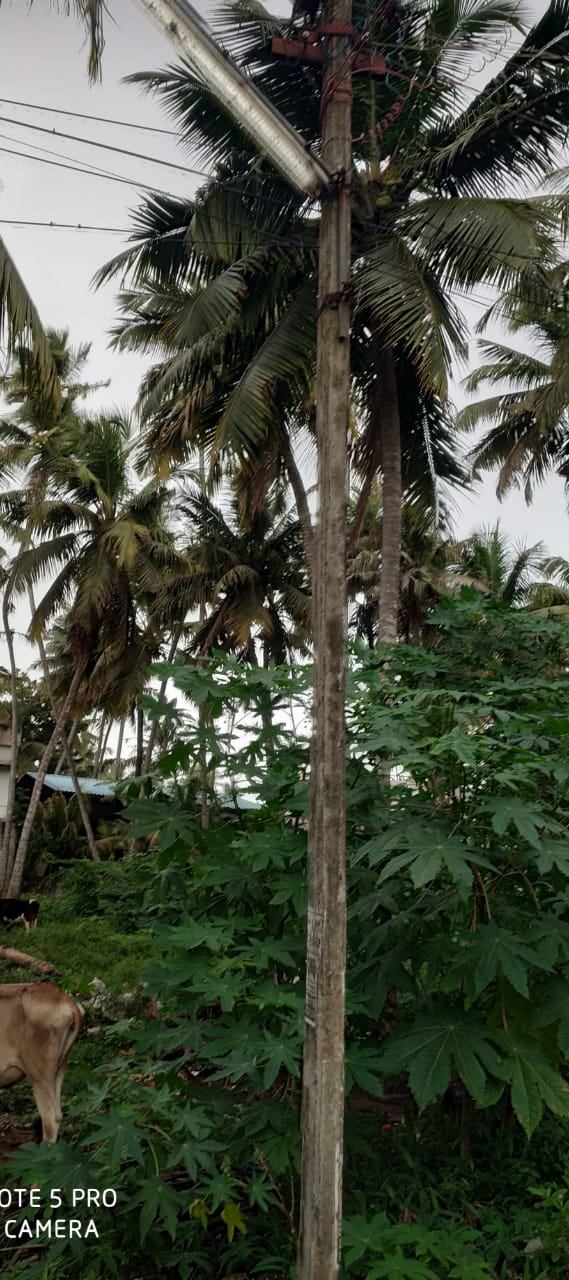 பகலில் ஒளிரும் விளக்கு