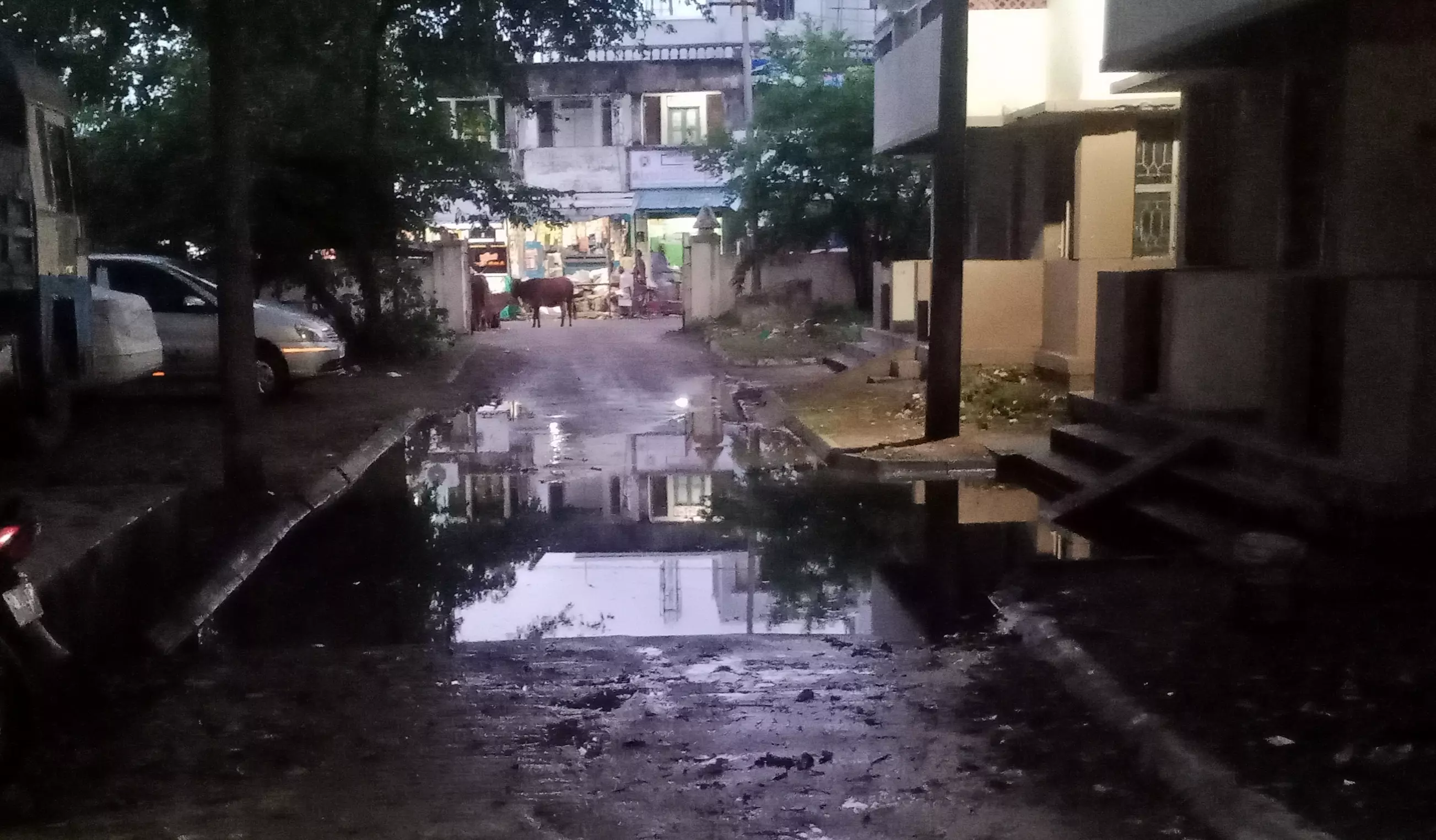 தேங்கும் மழைநீரில் கொசு உற்பத்தி