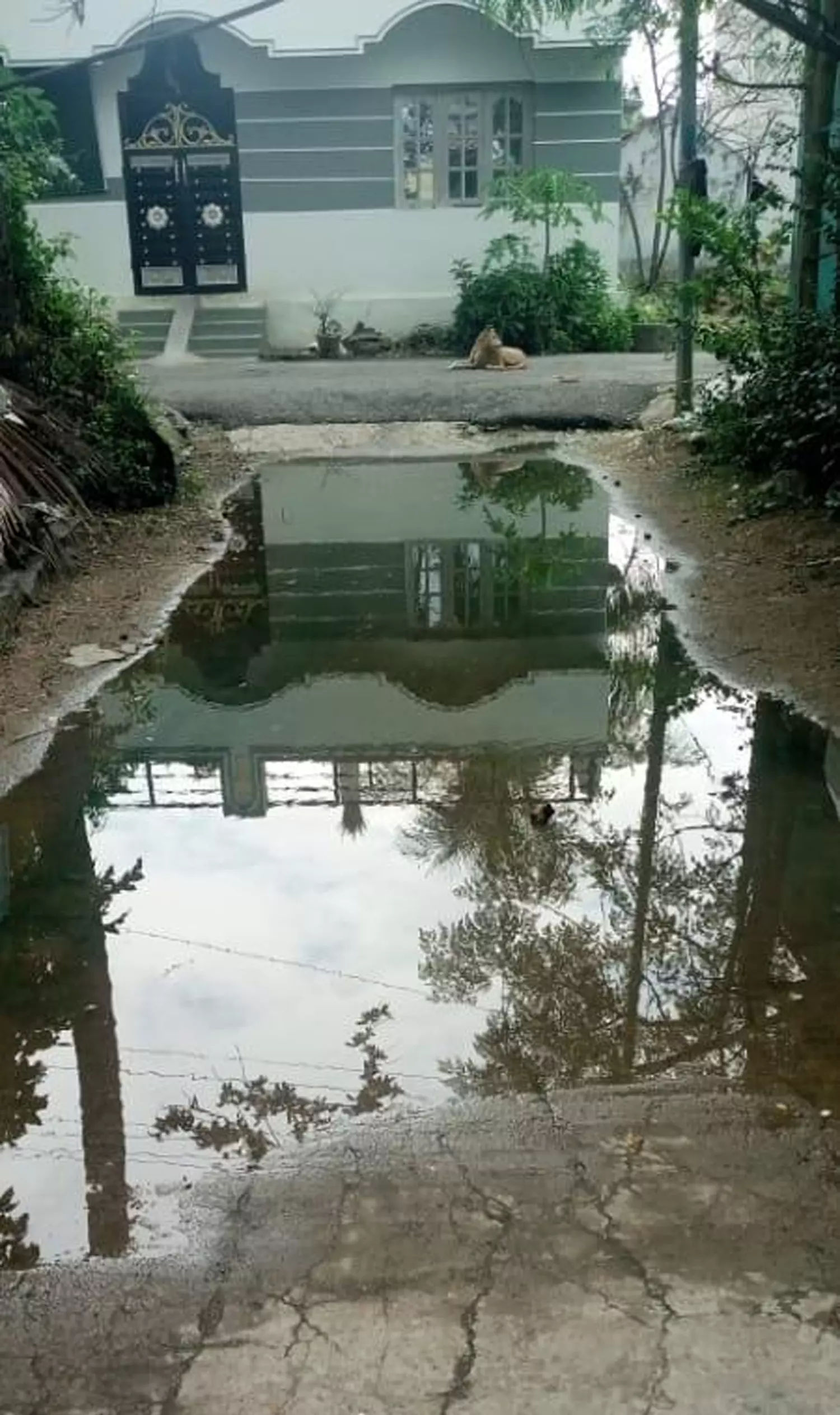 மழைநீரை வடிய வைப்பார்களா?