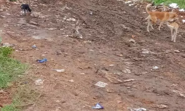 குப்பைகள் அகற்றப்பட்டது குப்பைகள் அகற்றப்பட்டது