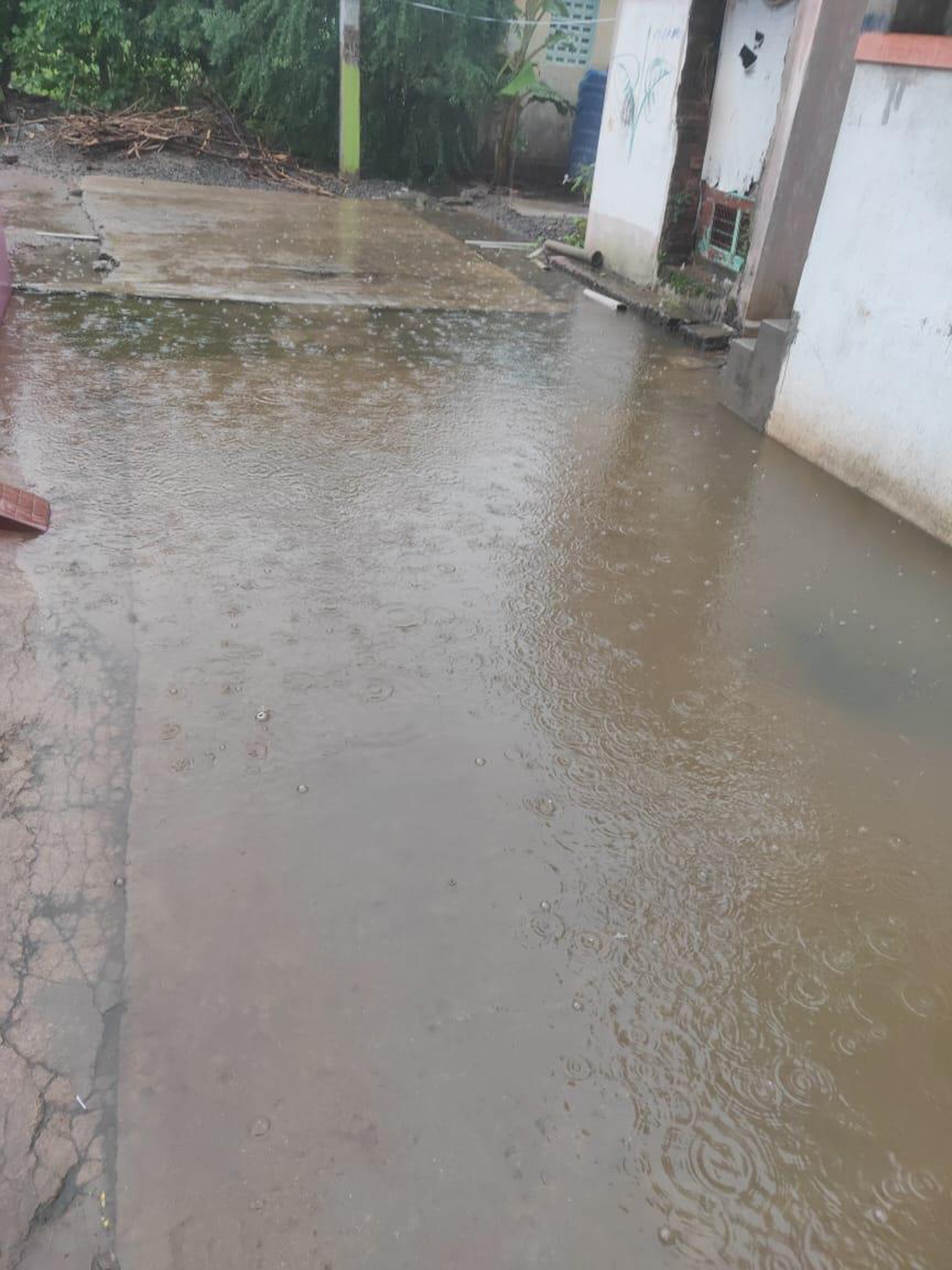 மழைநீரை வடிய வைப்பார்களா? மழைநீரை வடிய வைப்பார்களா?