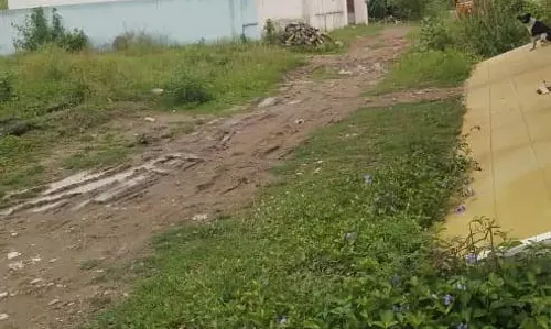 அடிப்படை வசதி தேவை