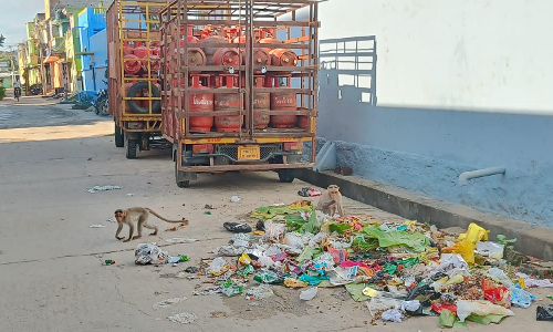 குப்பை தொட்டி வைக்க வேண்டும்