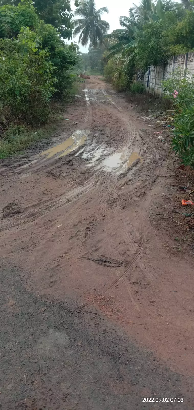 தார்சாலை வேண்டும்