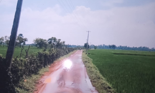 சாலை சீரமைக்கப்படுமா?