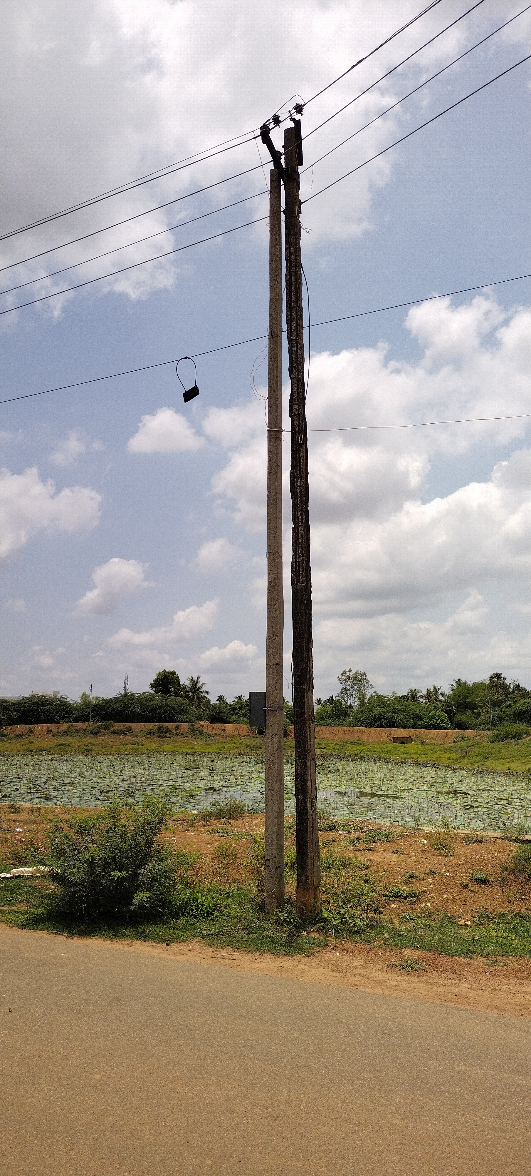 பழுதடைந்த மின்கம்பத்தை அகற்ற வேண்டும் பழுதடைந்த மின்கம்பத்தை அகற்ற வேண்டும்