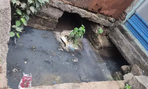 கால்வாய் தூர்வாரப்படுமா?