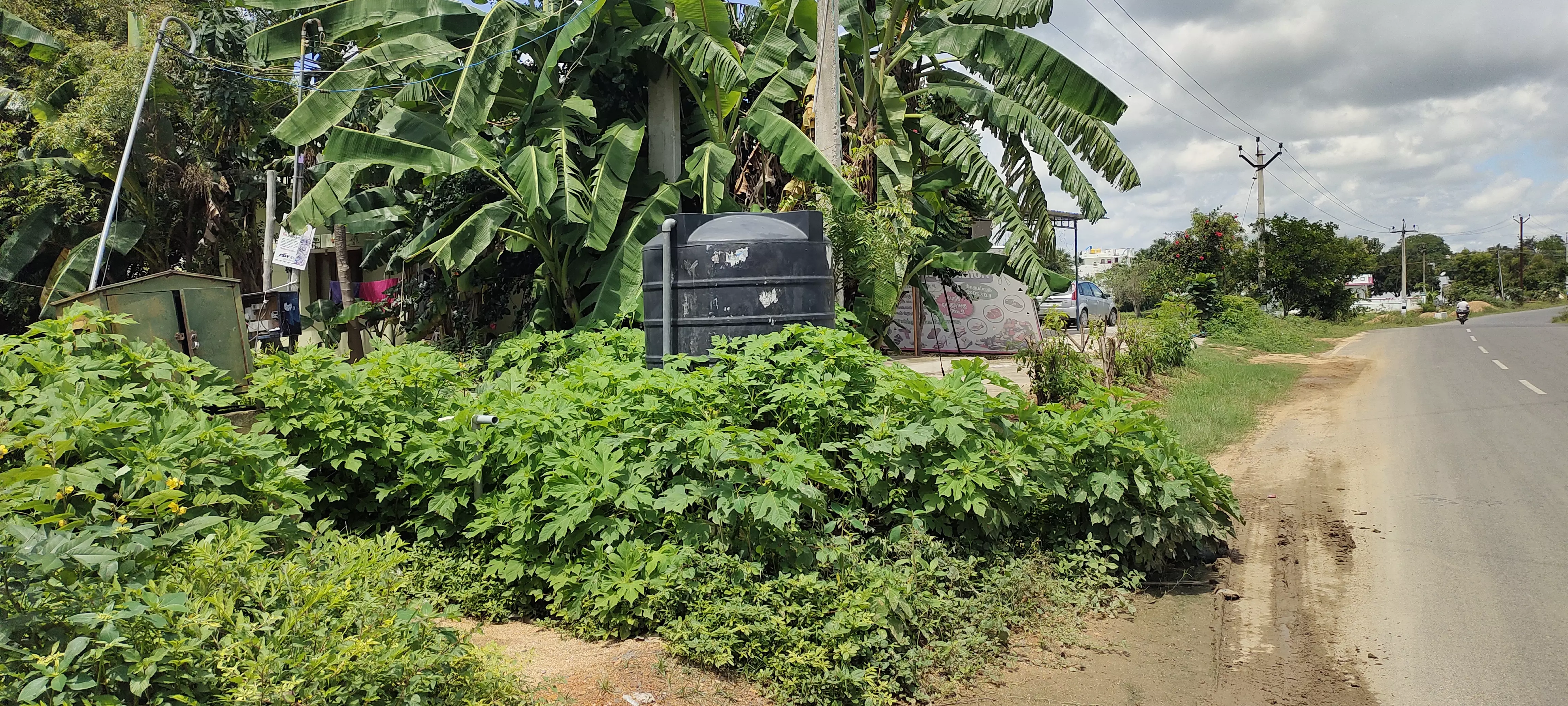 குடிநீர் ெதாட்டியை சுற்றி வளர்ந்த செடிகளால் இடையூறு